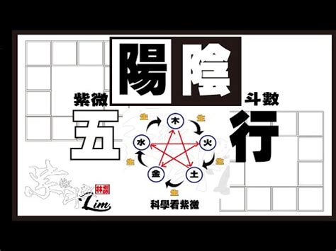 紫 五行|紫